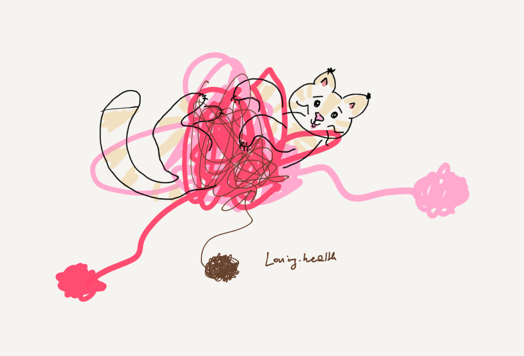 cat entagled in wool